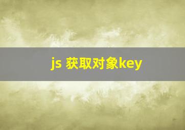 js 获取对象key